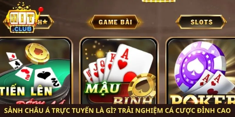 Sảnh Châu Á Trực Tuyến Là Gì? Trải Nghiệm Cá Cược Đỉnh Cao